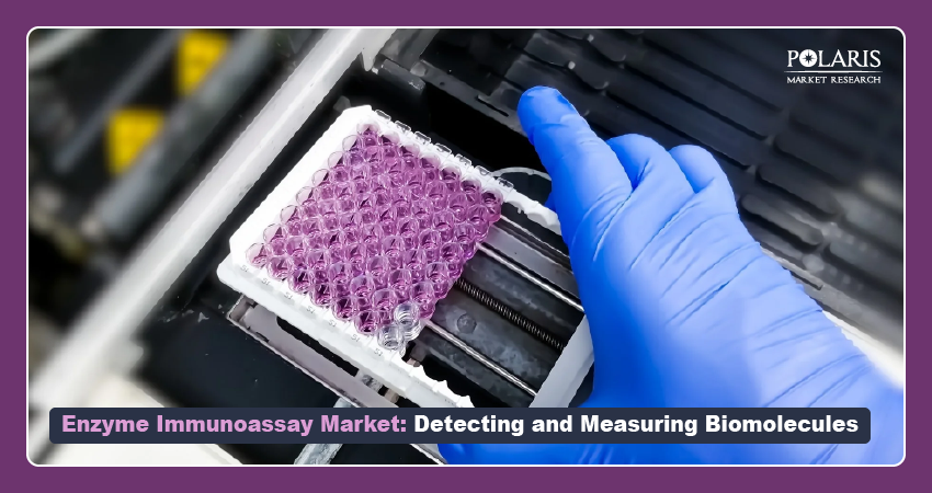 Enzyme Immunoassay Market: Detecting and Measuring Biomolecules